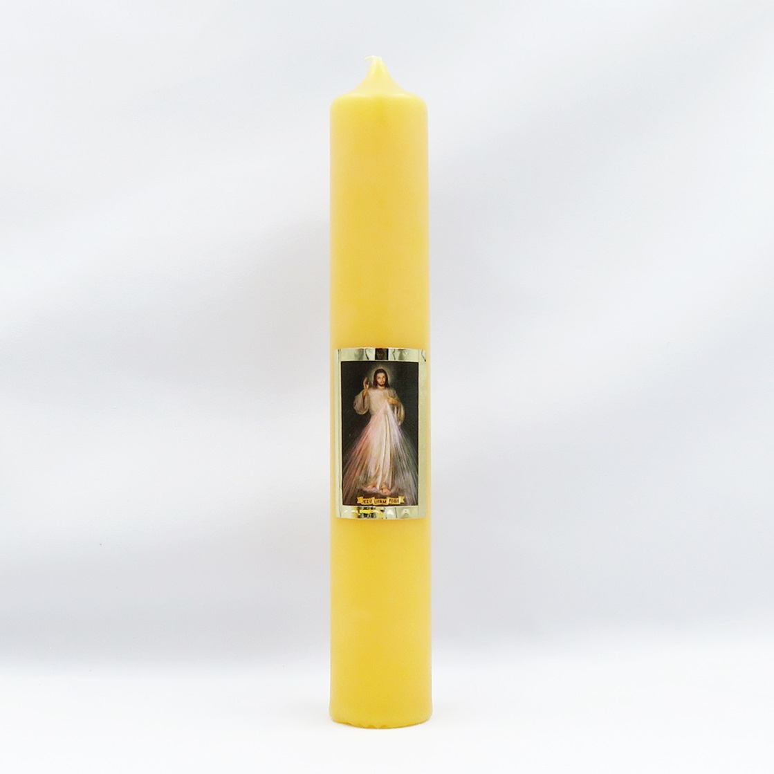 Gromnica żółta JUT 25-4