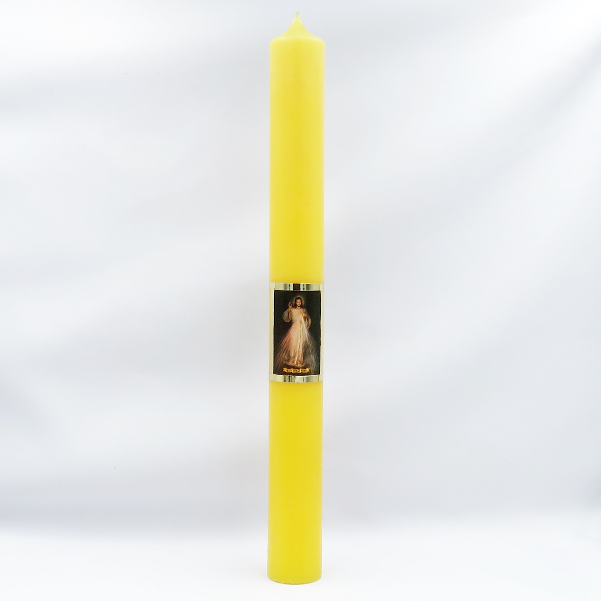 Gromnica żółta JUT 40-4
