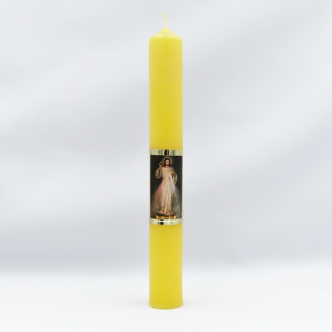 Gromnica żółta JUT 25-3