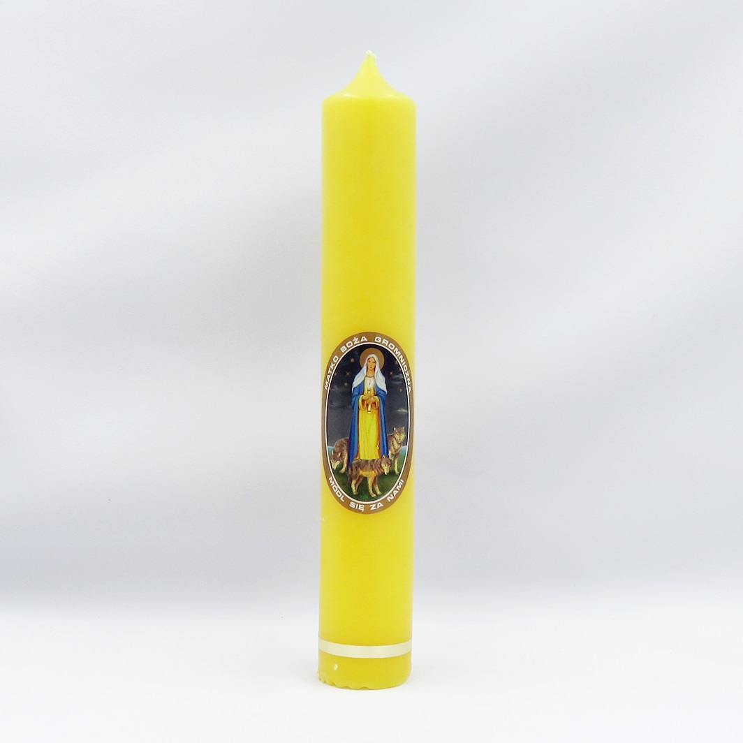 Gromnica żółta MB Gromniczna 25-4