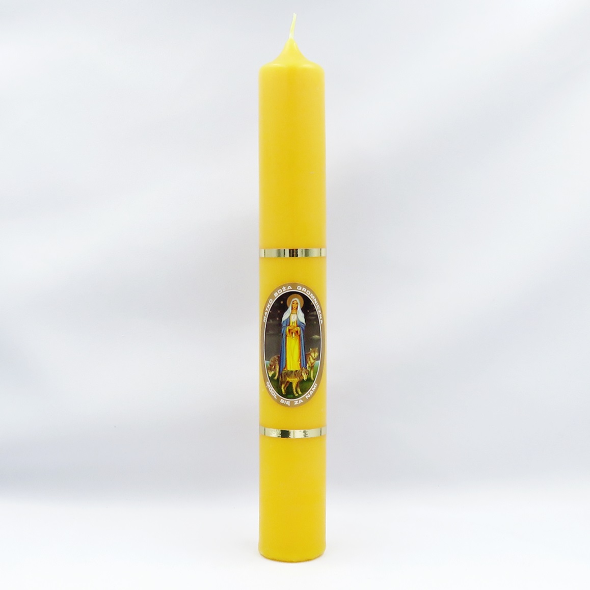 Gromnica żółta MB Gromniczna 30-4