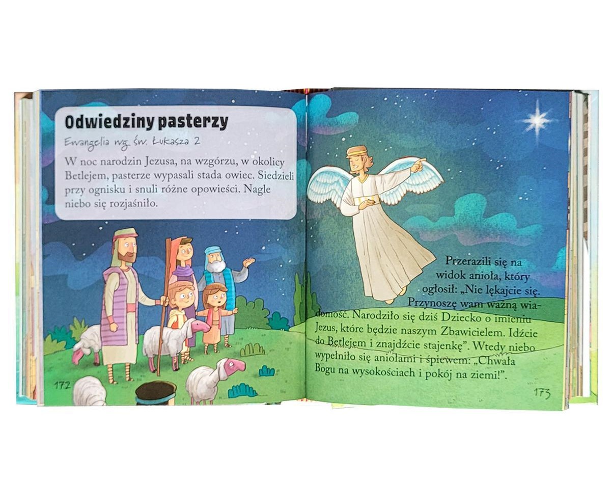 Kieszonkowa Biblia największa historia w małym formacie gal.
