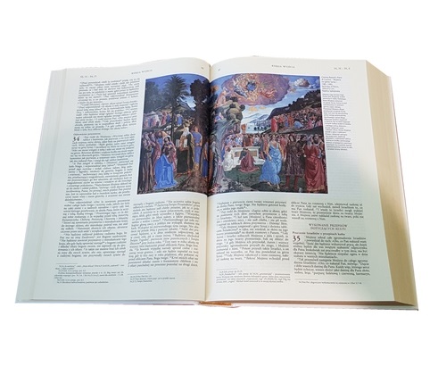 Pismo Święte ilustrowane zbiorami muzeów Watykańskich gal.